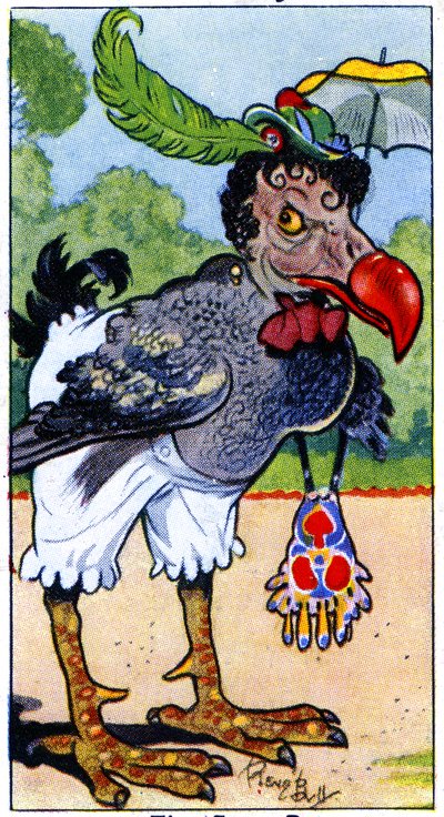 The Dodo by René Bull